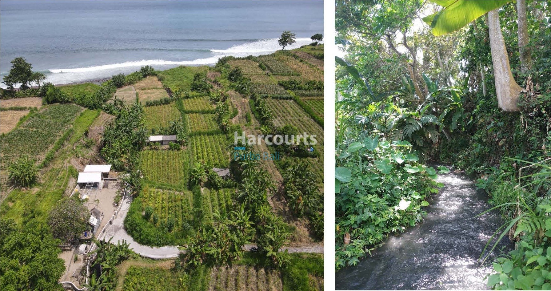 Pantai Klotok Beach Front 25 11 Page 05