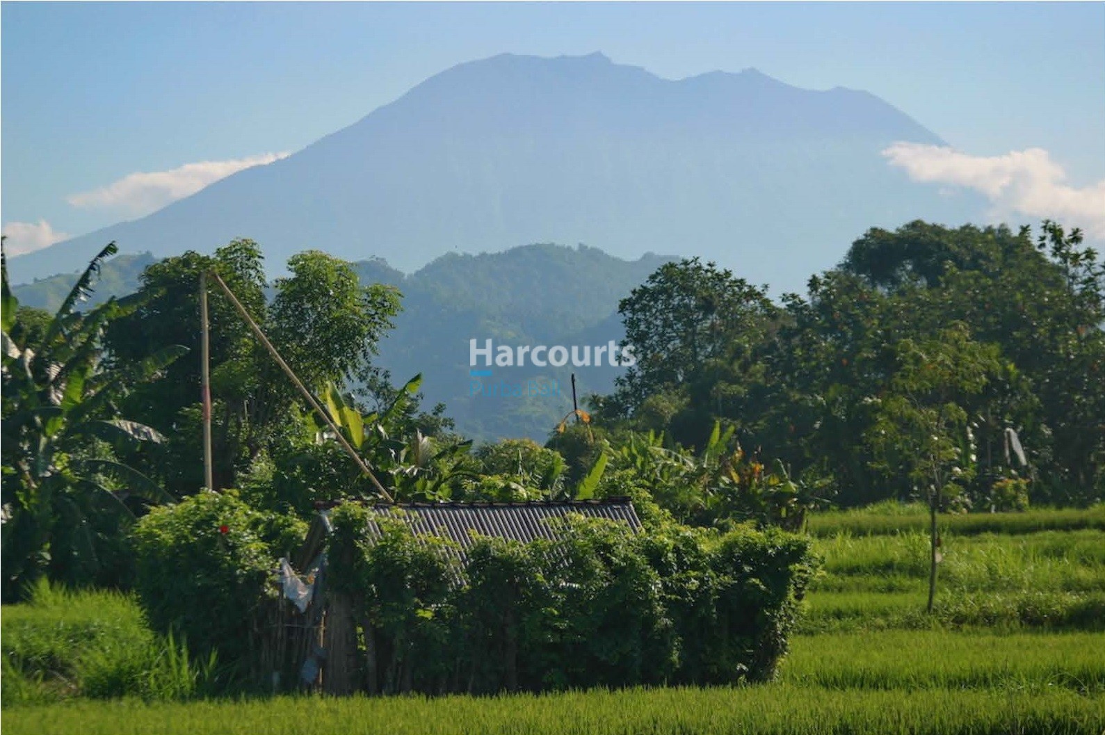 Pantai Klotok Beach Front 25 11 Page 06