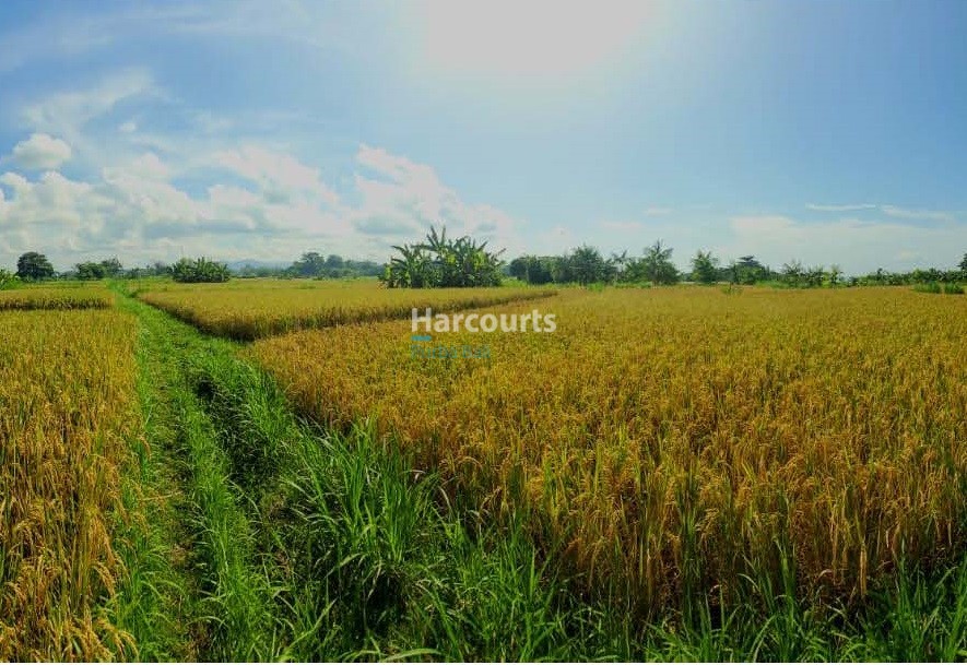 Pantai Klotok Beach Front 25 11 Page 07