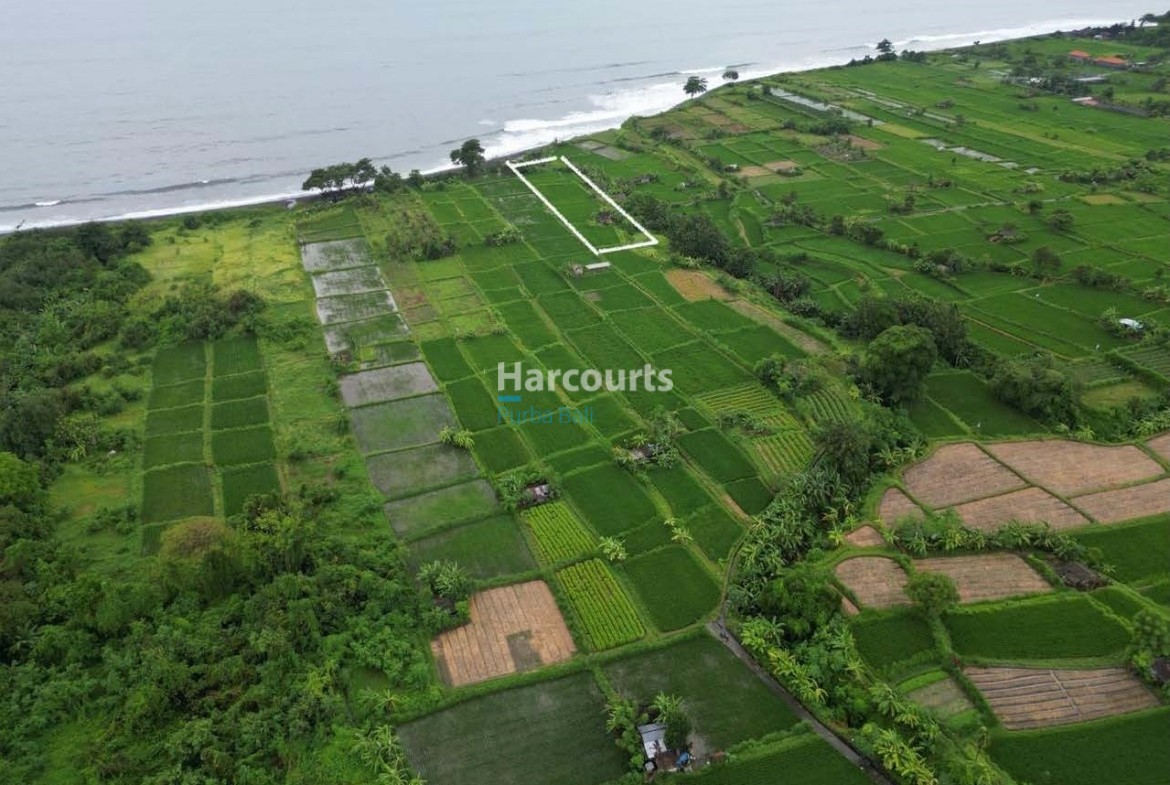 Pantai Klotok Beach Front 25 11 Page 08