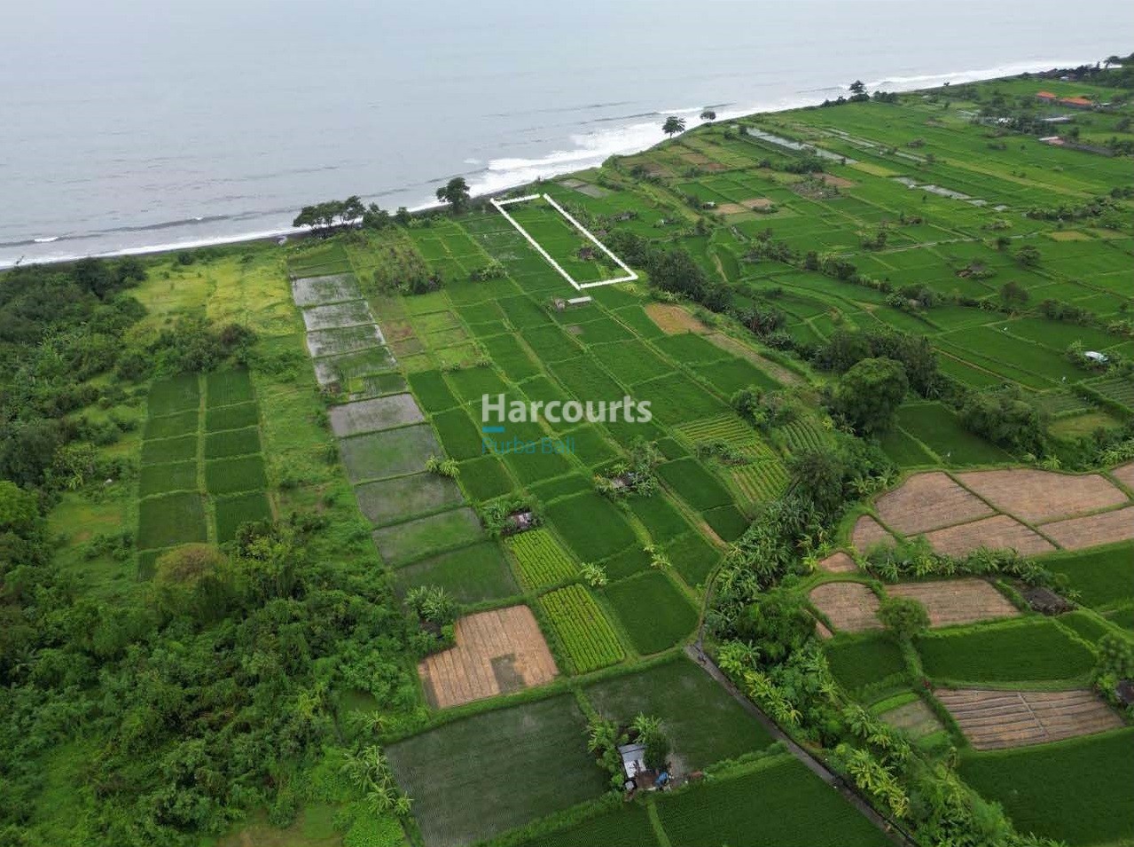 Pantai Klotok Beach Front 25 11 Page 08