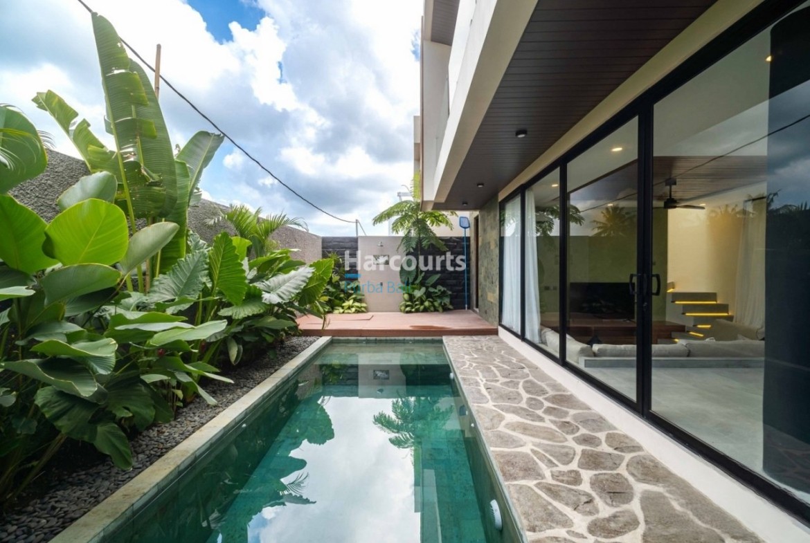 Located Serene Coastal Area Ricefield View