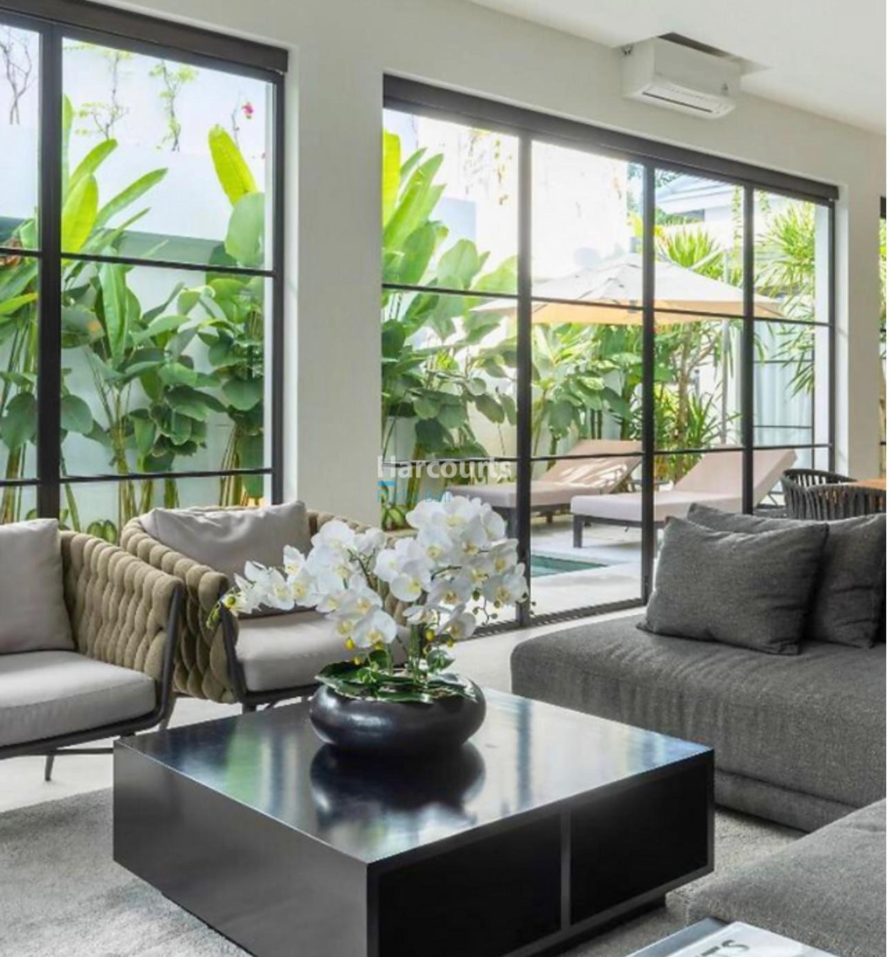 You Can Sure That Tropical Modern