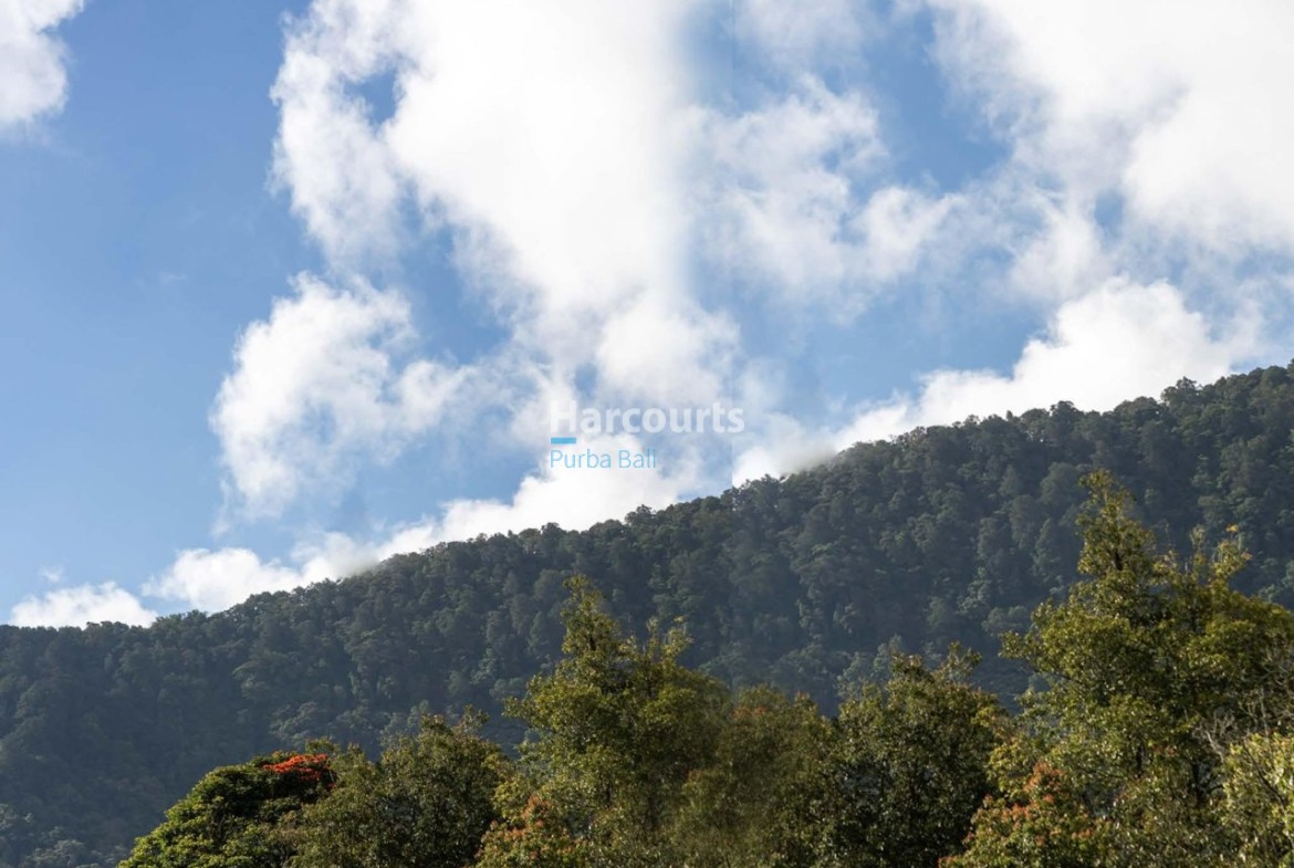 Nestled Within Breathtaking Highlands Ricefield View
