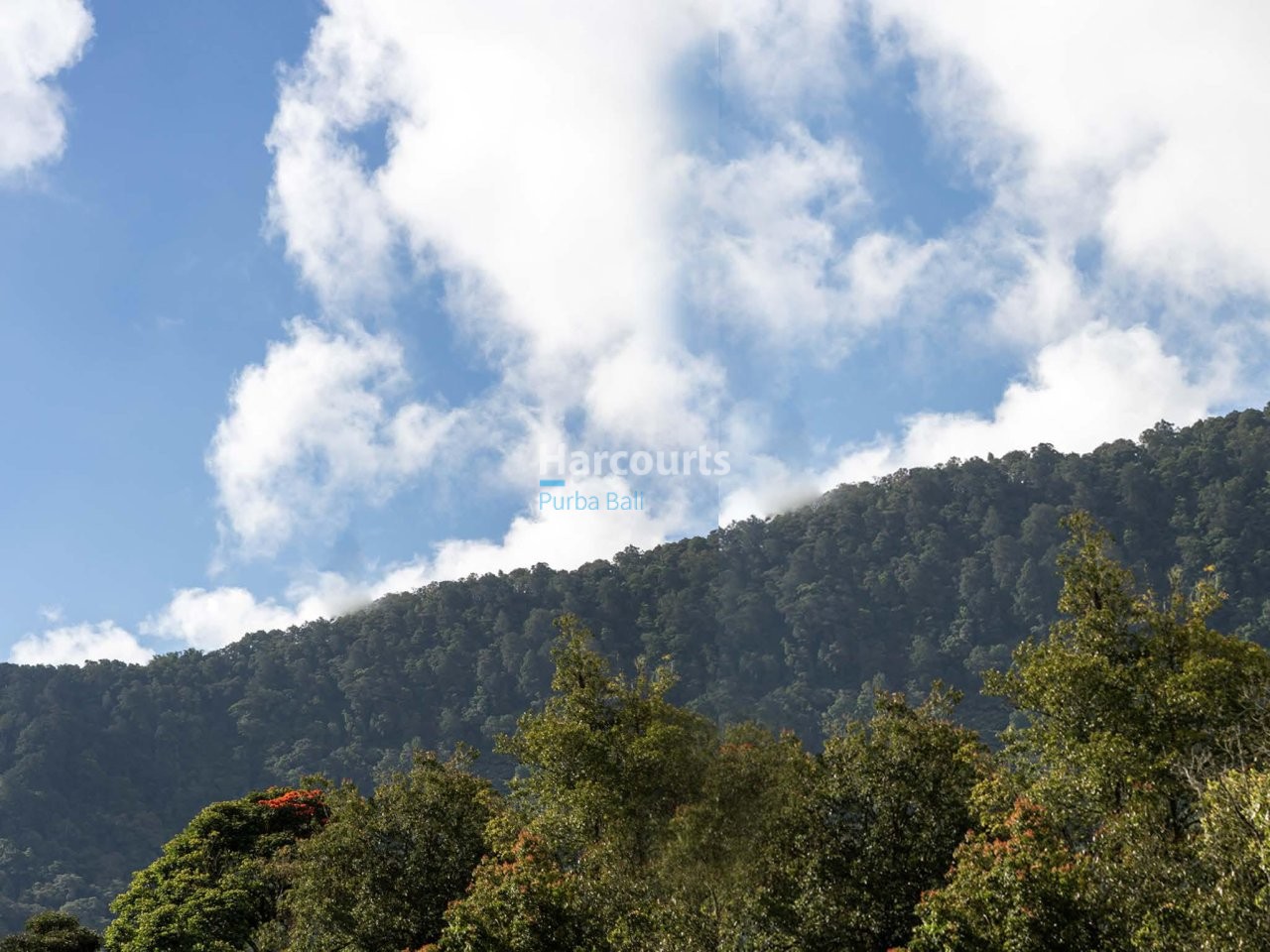 Nestled Within Breathtaking Highlands Ricefield View