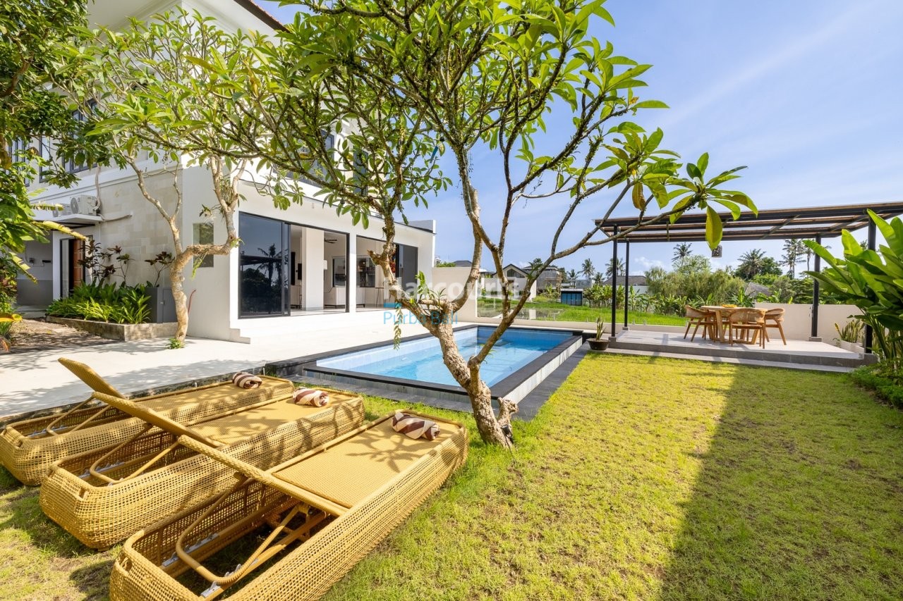 Set Evolving Neighborhood Tumbak For Sale