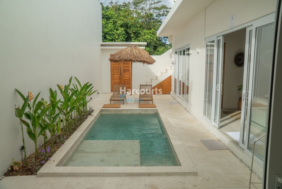 Experience Modern Living This Luxury Living