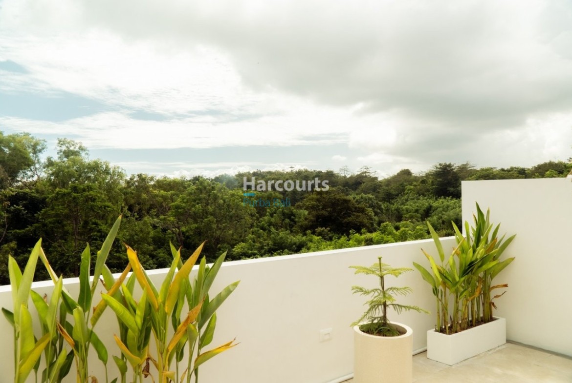 Experience Modern Living This Tropical Modern