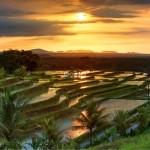 Tabanan Bali