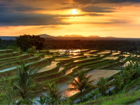 Tabanan Bali