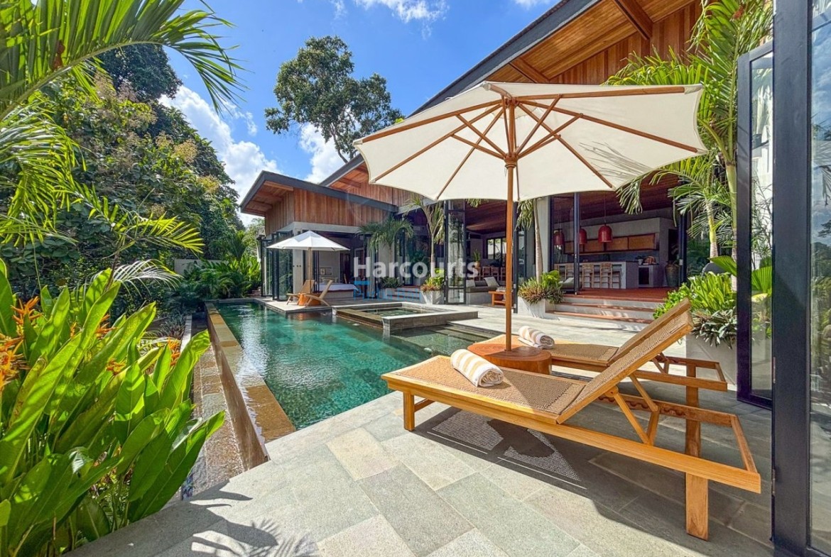 Experience Perfect Balance Calm Ricefield View