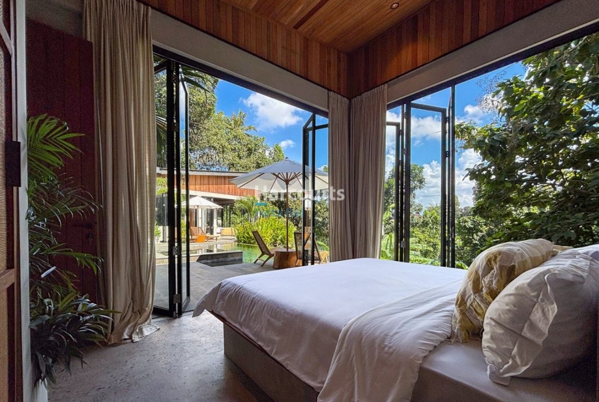 Experience Perfect Balance Calm Tropical Modern 1