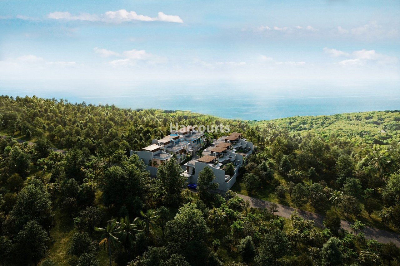 Experience Relaxed Modern Tropical Pool View