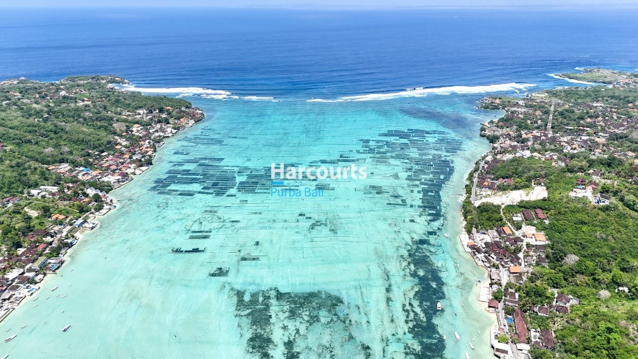 Views Couple Assistancespecific