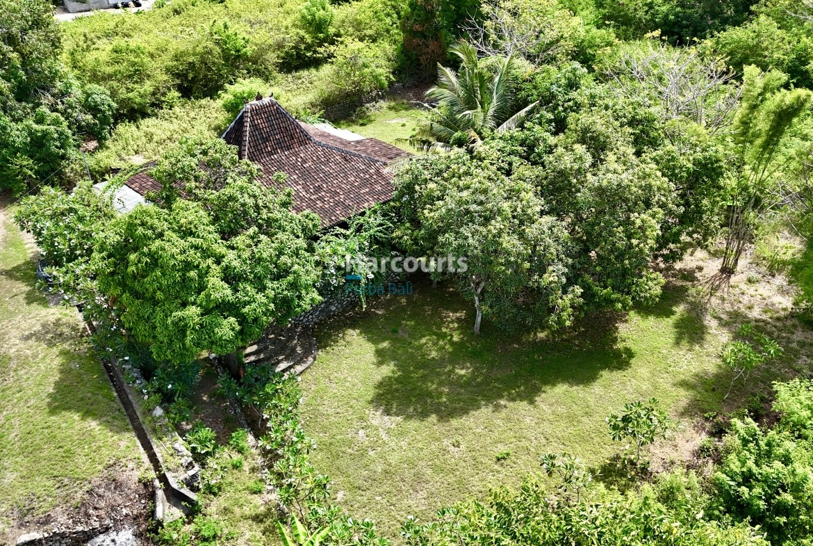 Nusa Traditional Serene Literally Printed Pool