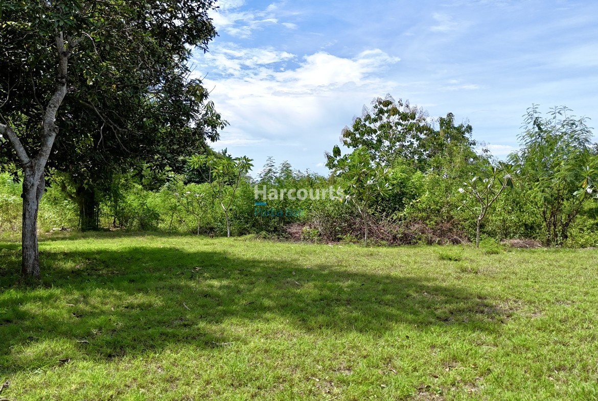 Entrances Spacious Runs Sourced Impressive Serene