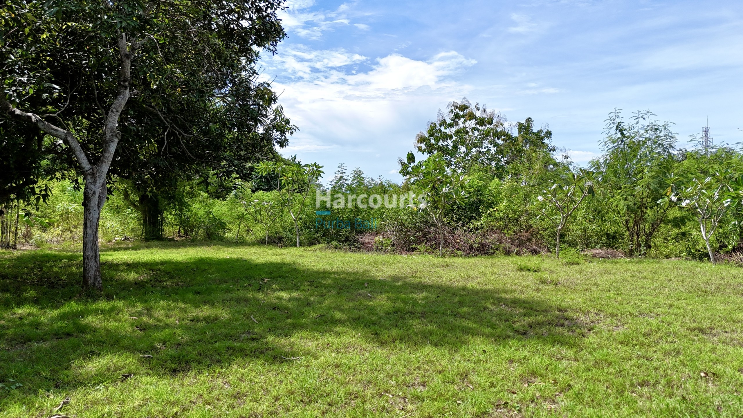 Entrances Spacious Runs Sourced Impressive Serene