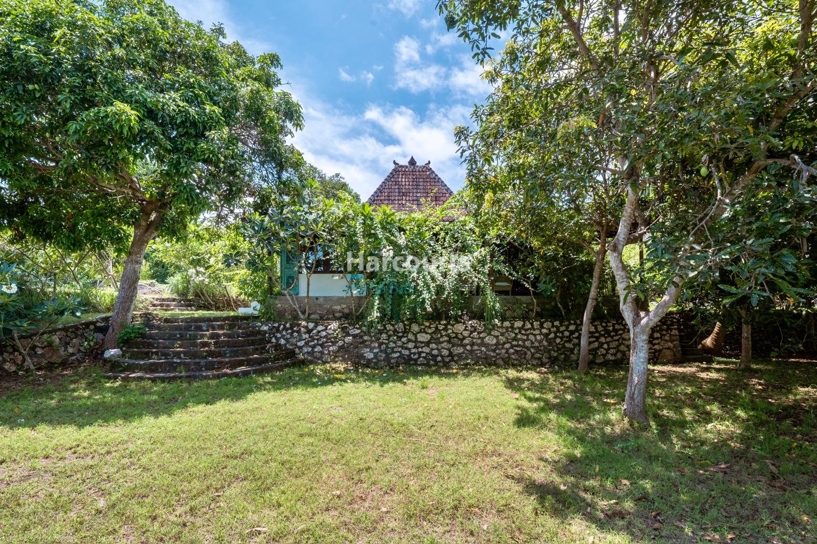 Traffic Private Beautiful Jungut Wool Tropical