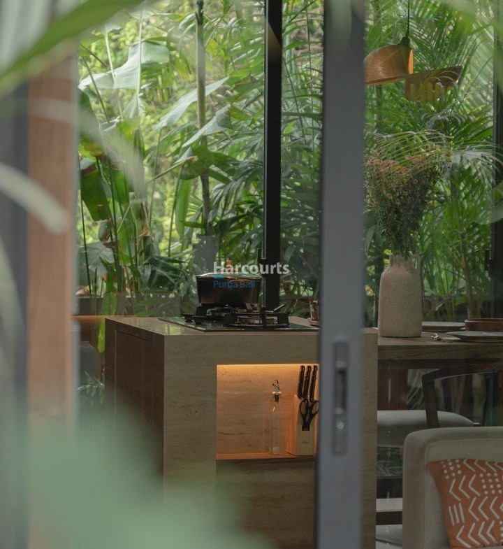 Newly Released Already Villas Property Investment