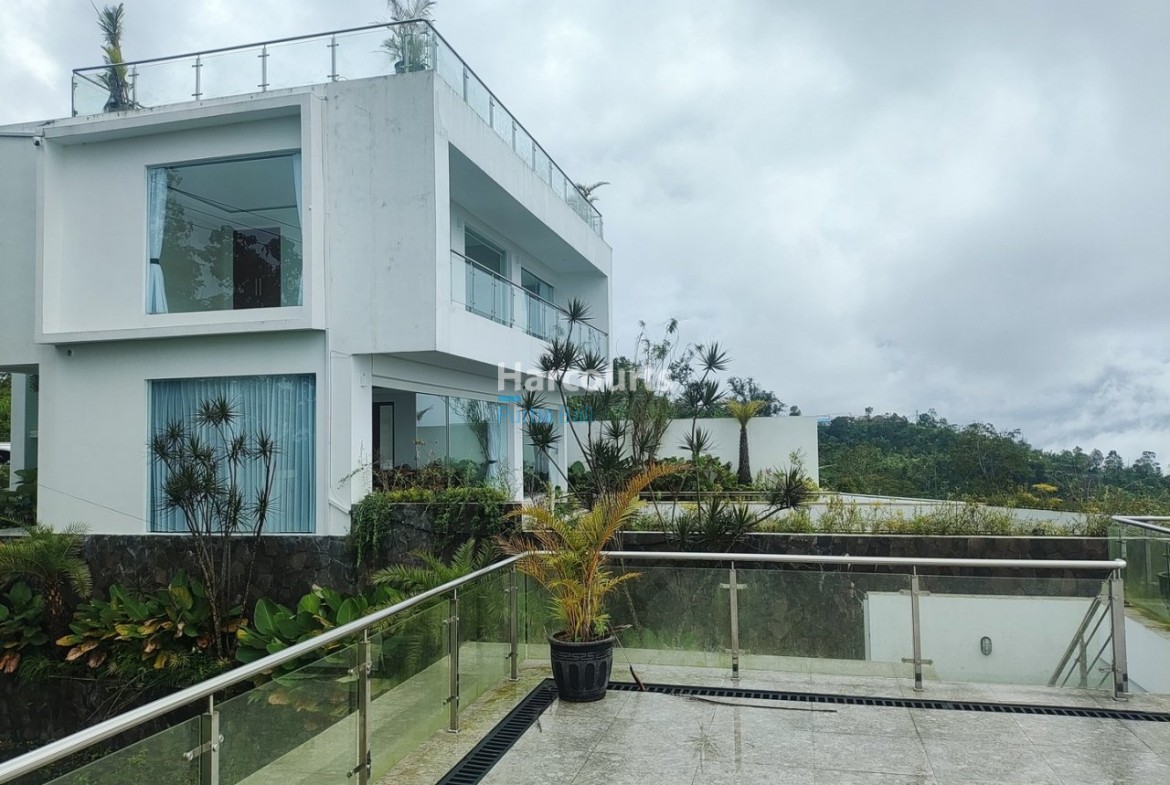 Pool Harcourts Green Immerse Enjoy