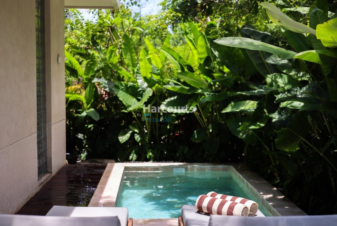 Property In The Heart Of Peca 69310b4c2e0f3