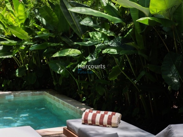 Property In The Heart Of Peca 69310b4c5ff98