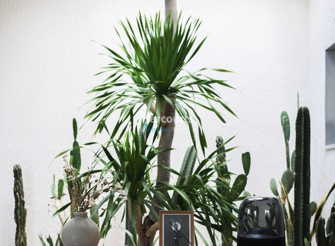 Property In The Heart Of Peca 69310b4da7fcd