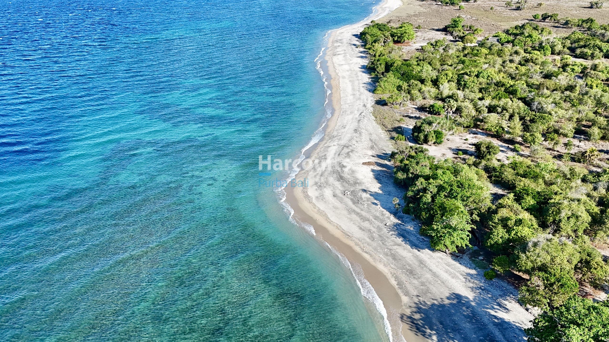 opportunity-purchase-freehold-resort-ocean-breeze