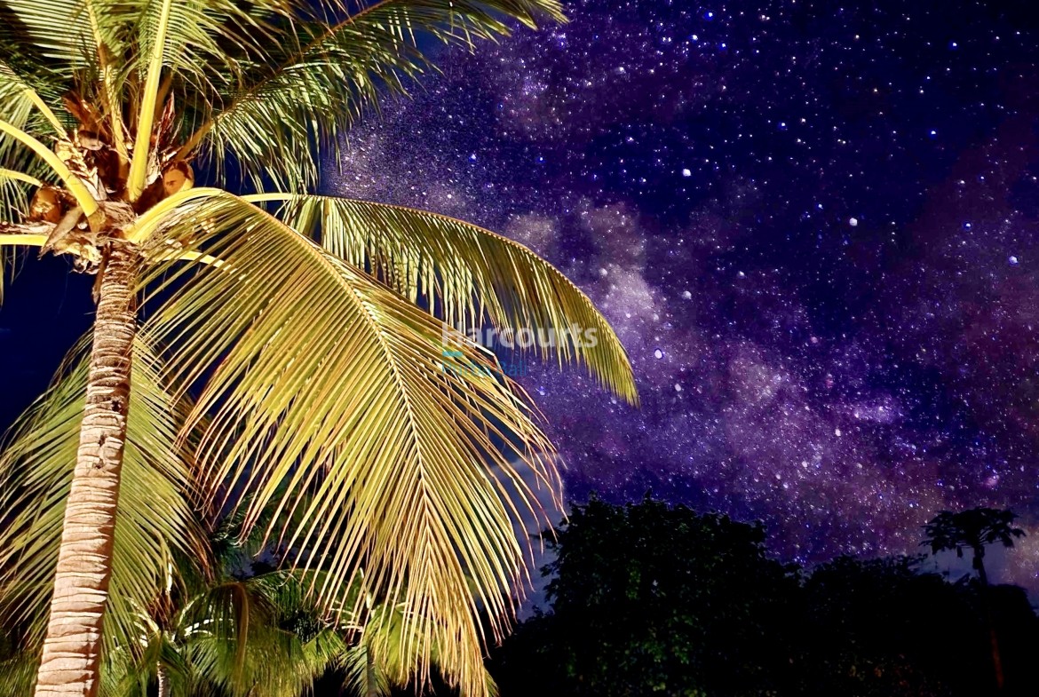 opportunity-purchase-freehold-resort