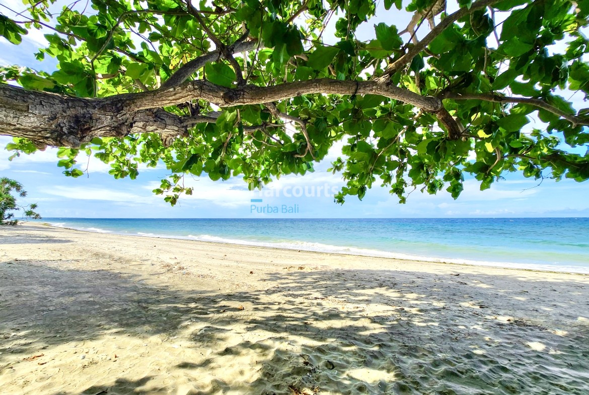 opportunity-purchase-freehold-resort-property-investment