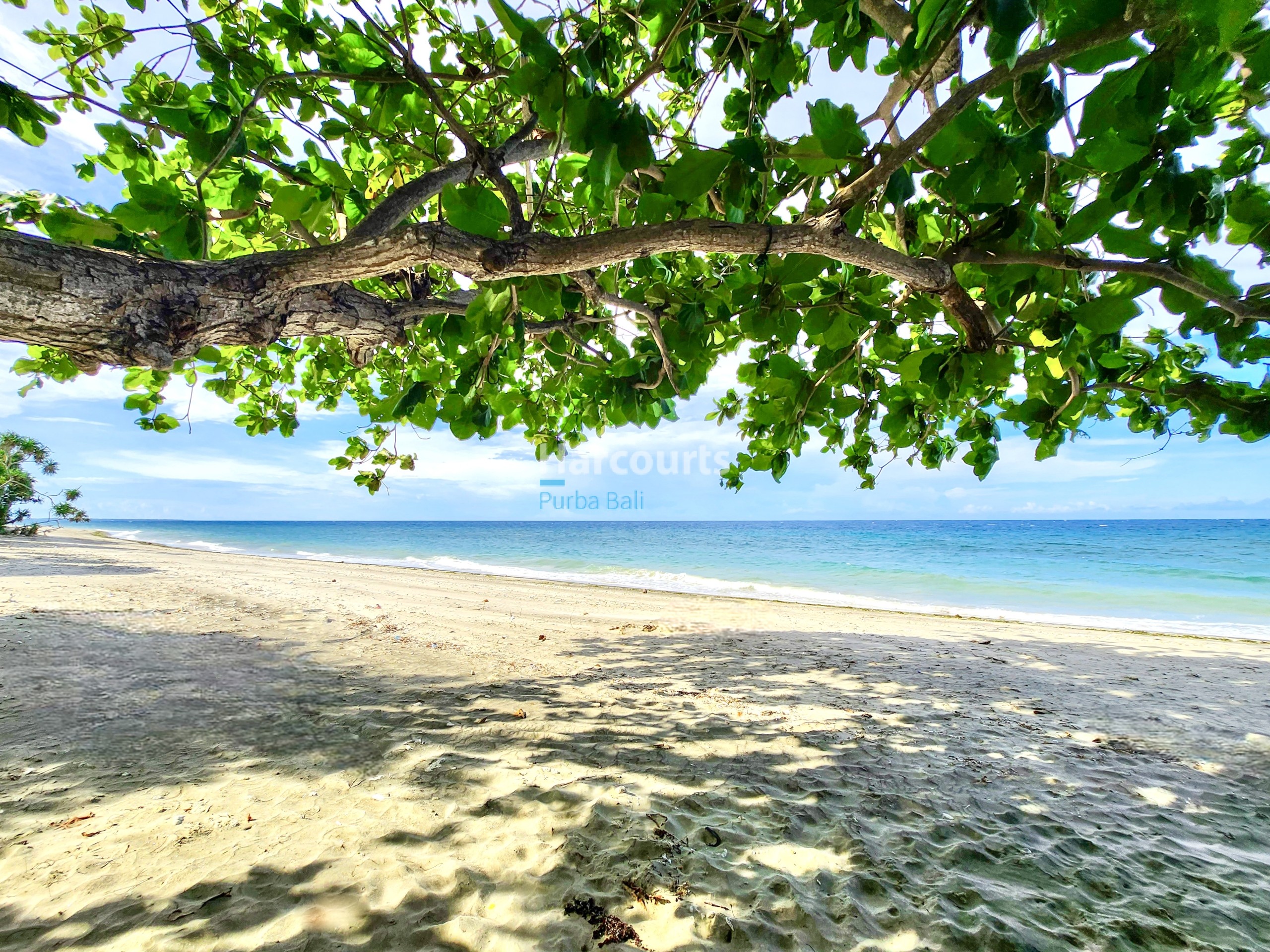 opportunity-purchase-freehold-resort-property-investment