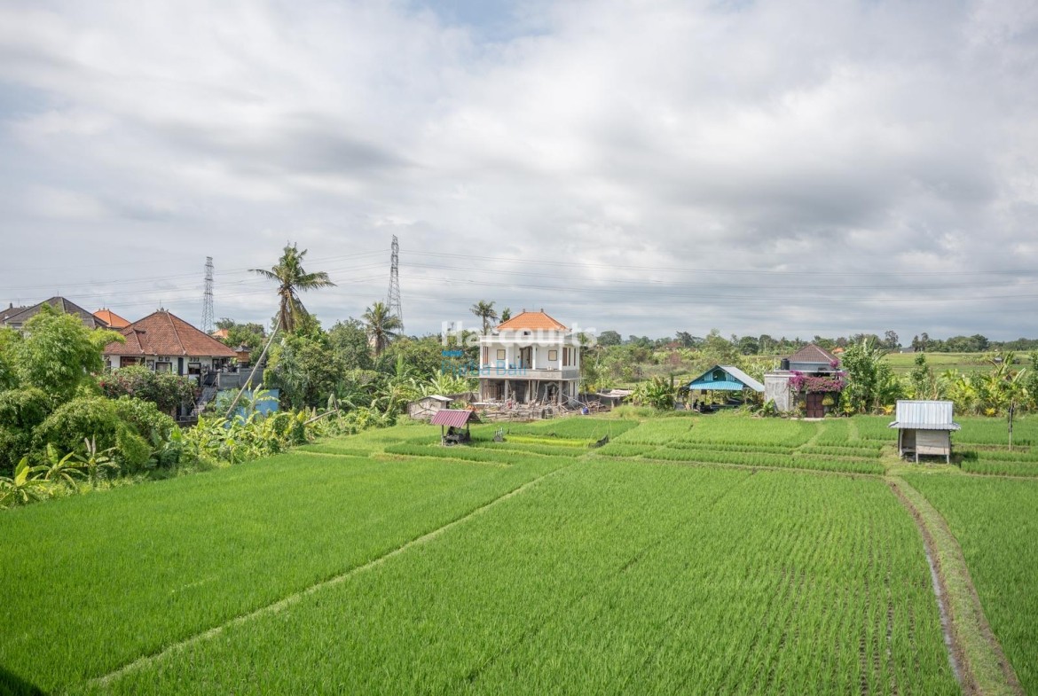 located-serene-cepaka-this-ricefield-view