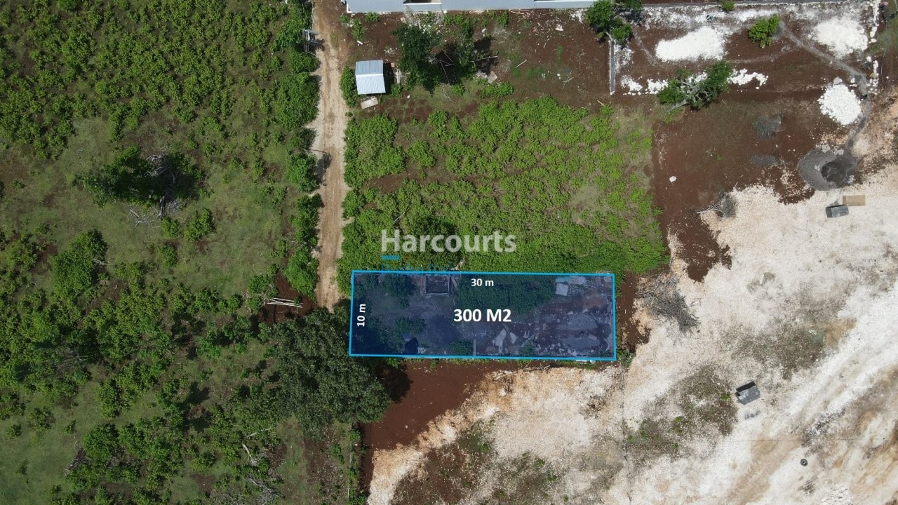 Canvas Faint Established