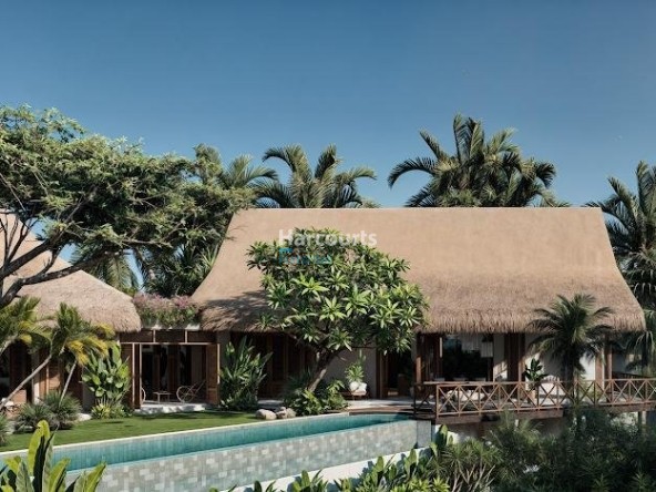 Kaba Kaba Villa Thatched Roof Pool