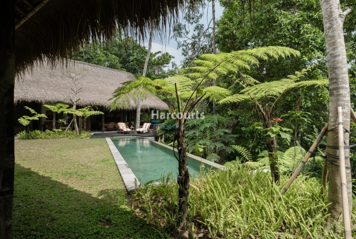 Set Tranquil Village Kaba For Sale 1