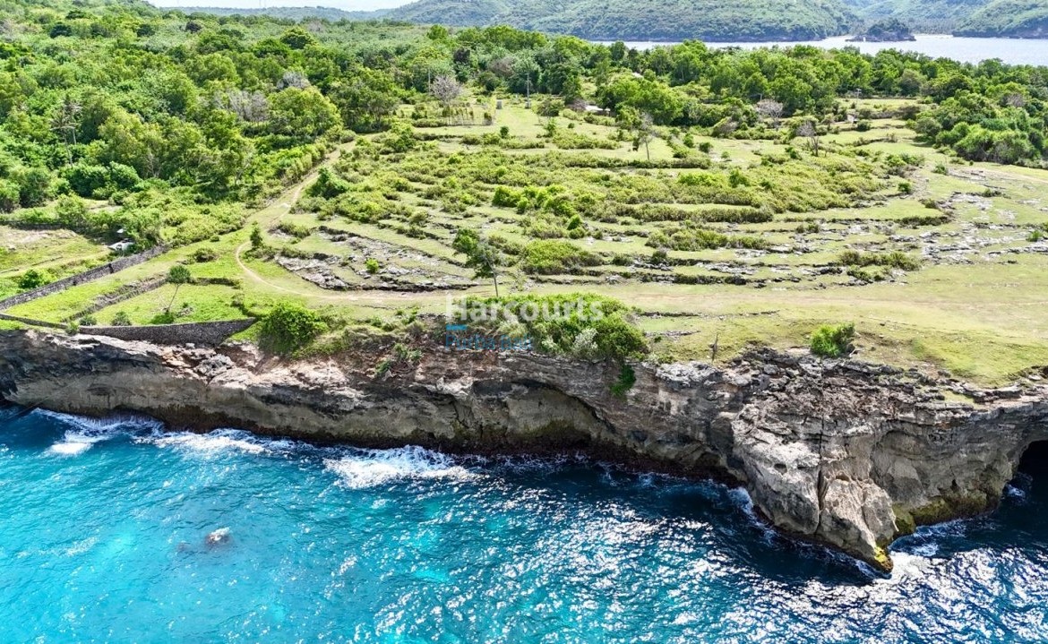 Superb Opportunity Purchase Best For Sale