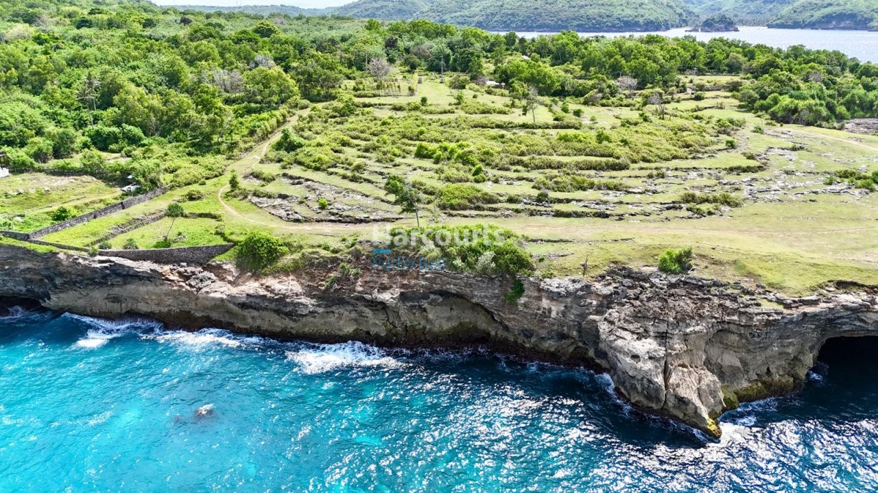 Superb Opportunity Purchase Best For Sale