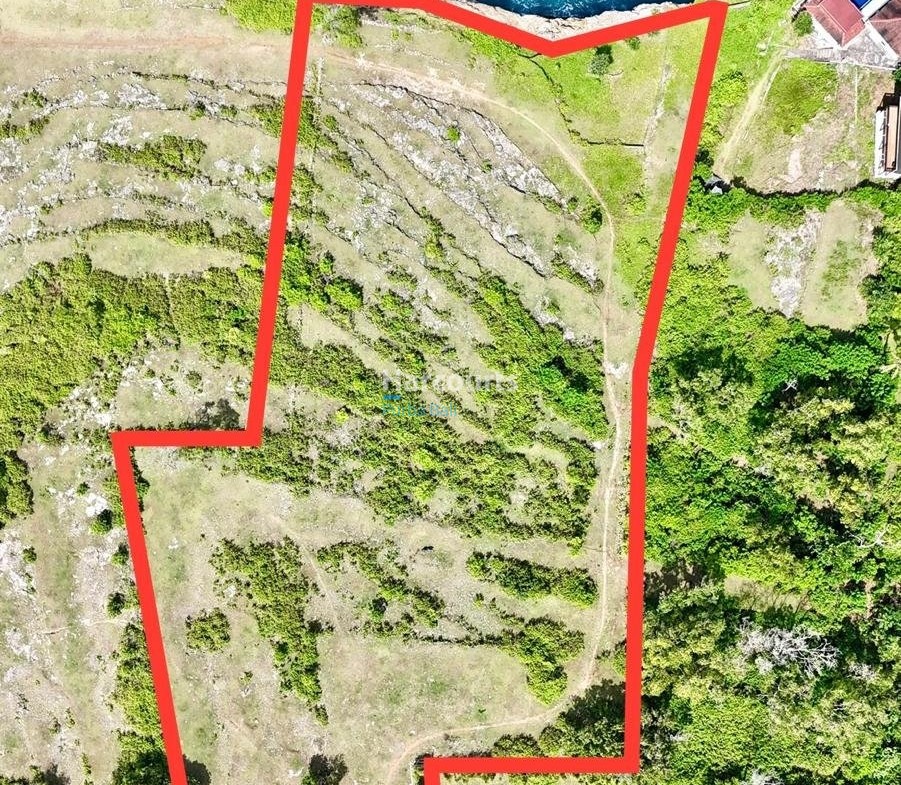 Superb Opportunity Purchase Best Luxury Living