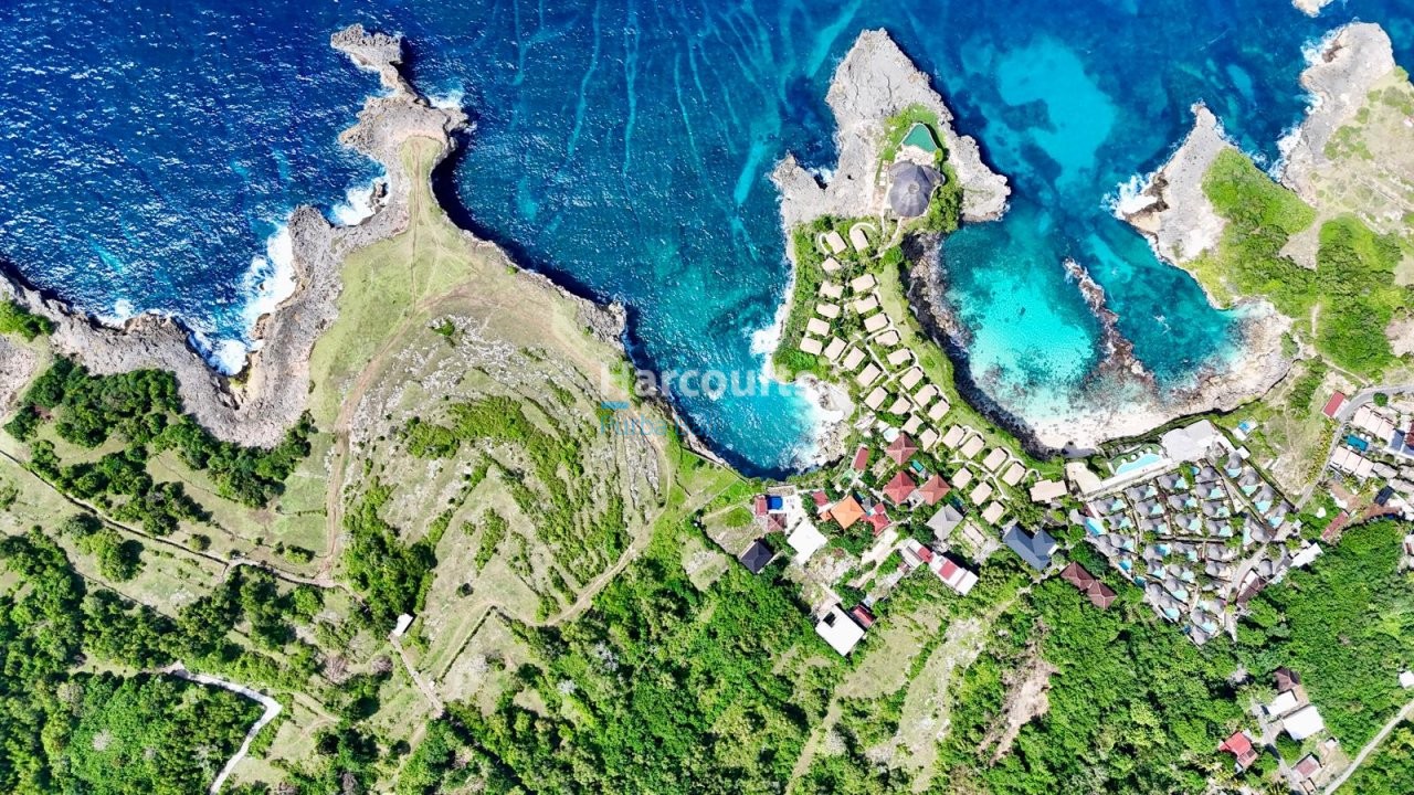 Superb Opportunity Purchase Best Ricefield View