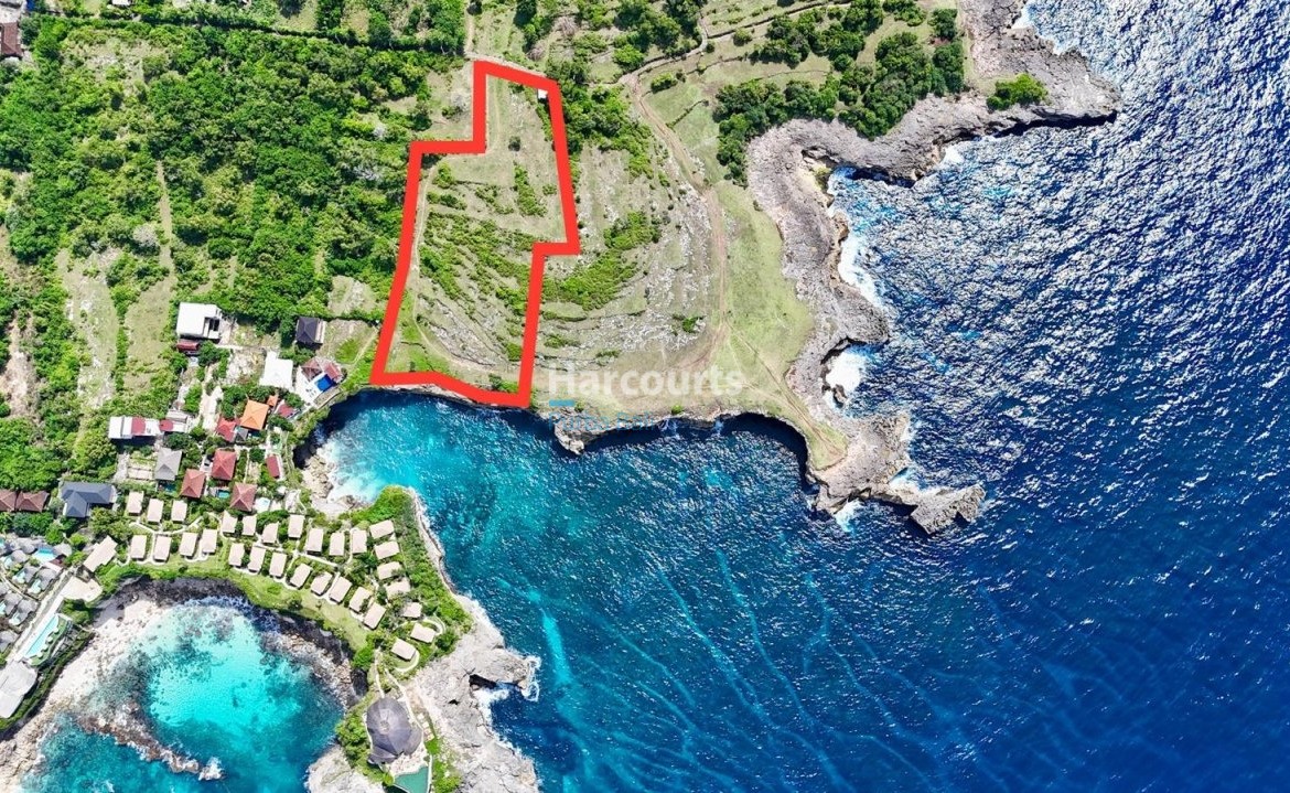 Superb Opportunity Purchase Best Tropical Modern