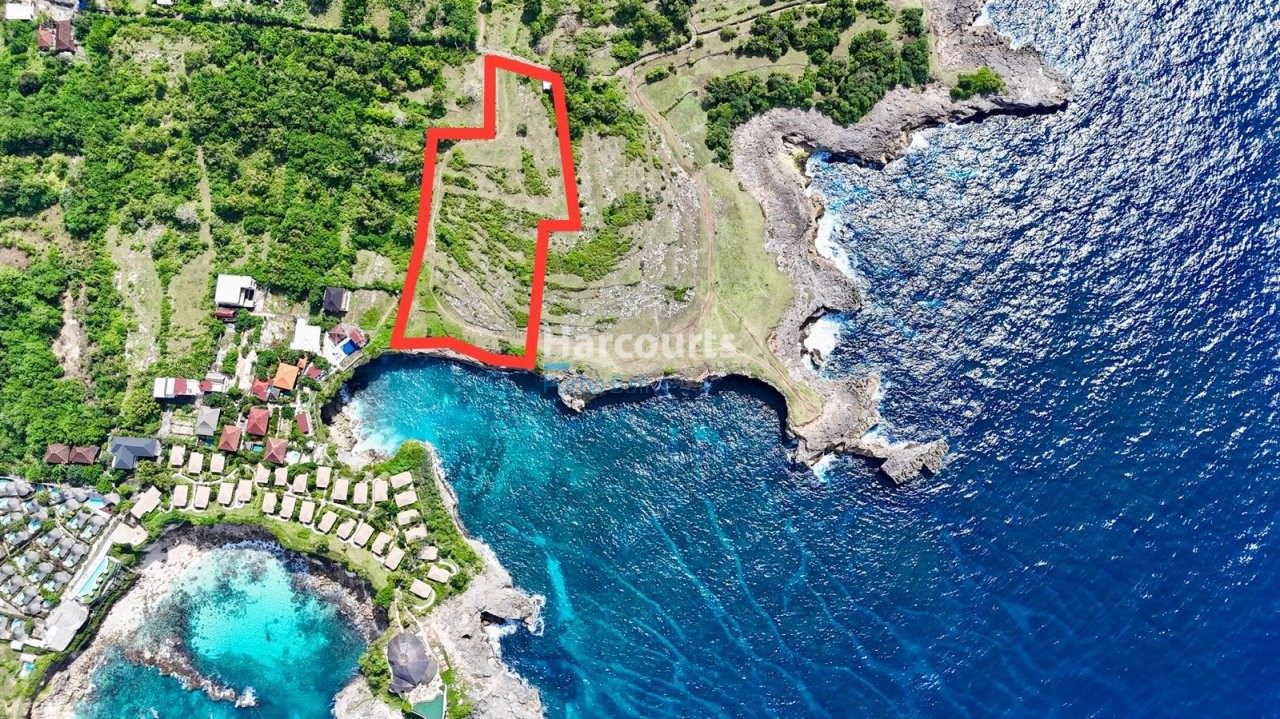 Superb Opportunity Purchase Best Tropical Modern