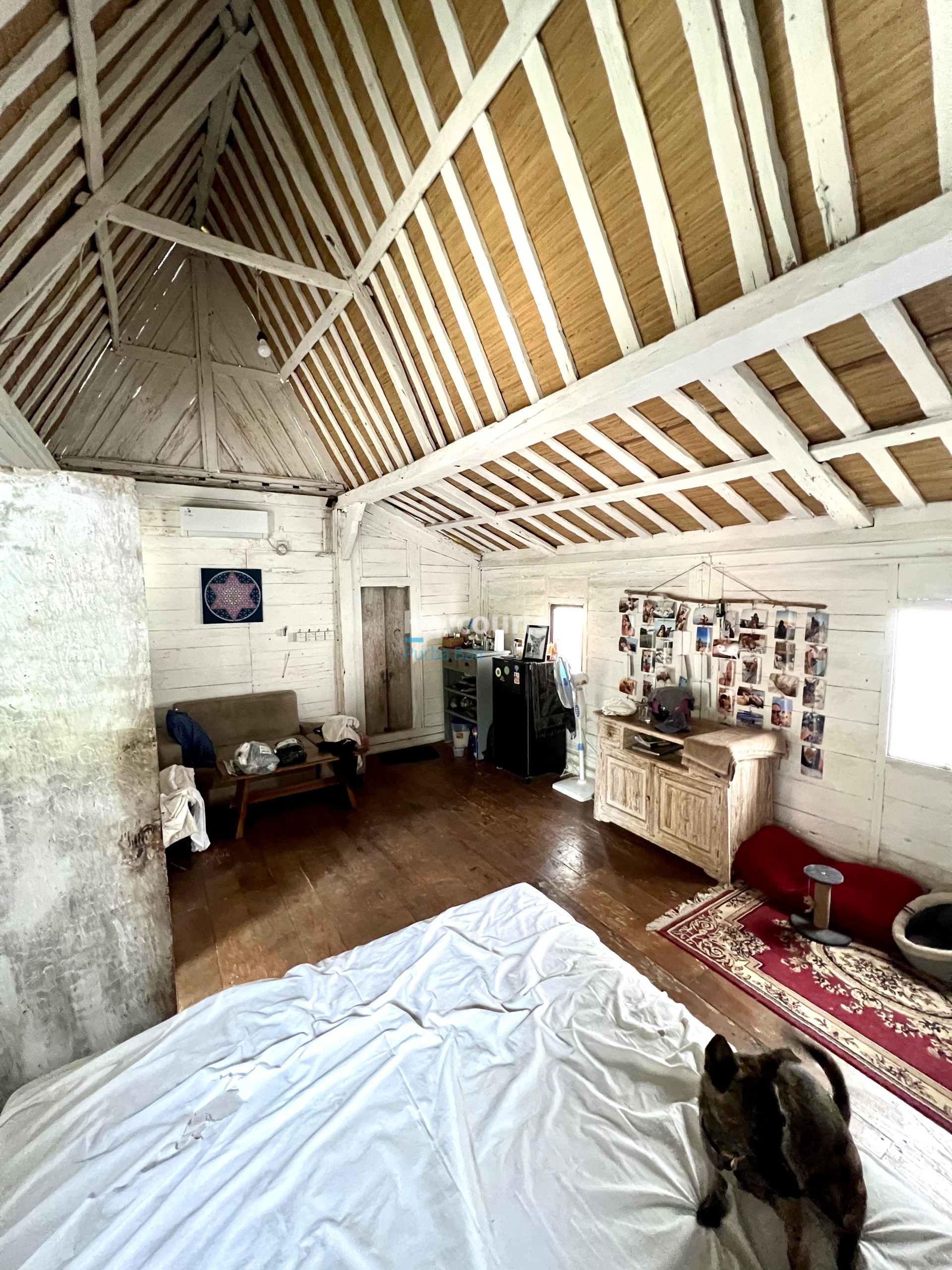 041497a5 A319 49e3 A9a3 7e9a5fd31df6