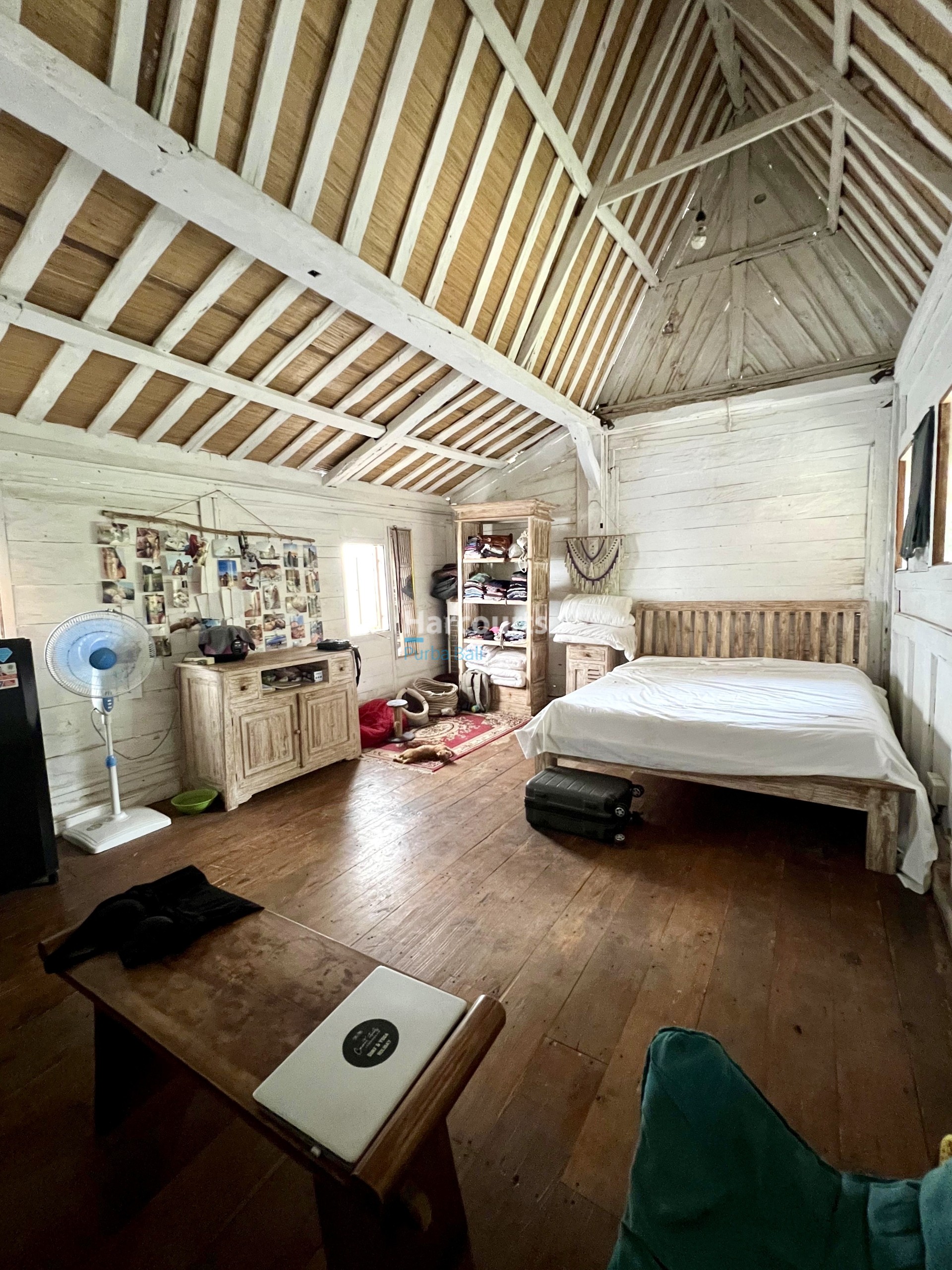 9a29c8c4 E96a 443d B95c 776c10795873