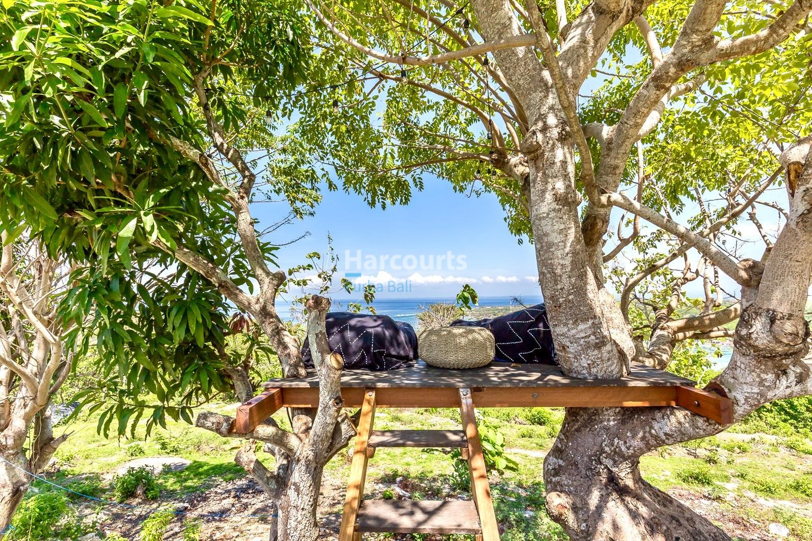 opportunity-purchase-beautiful-level4-tropical-modern