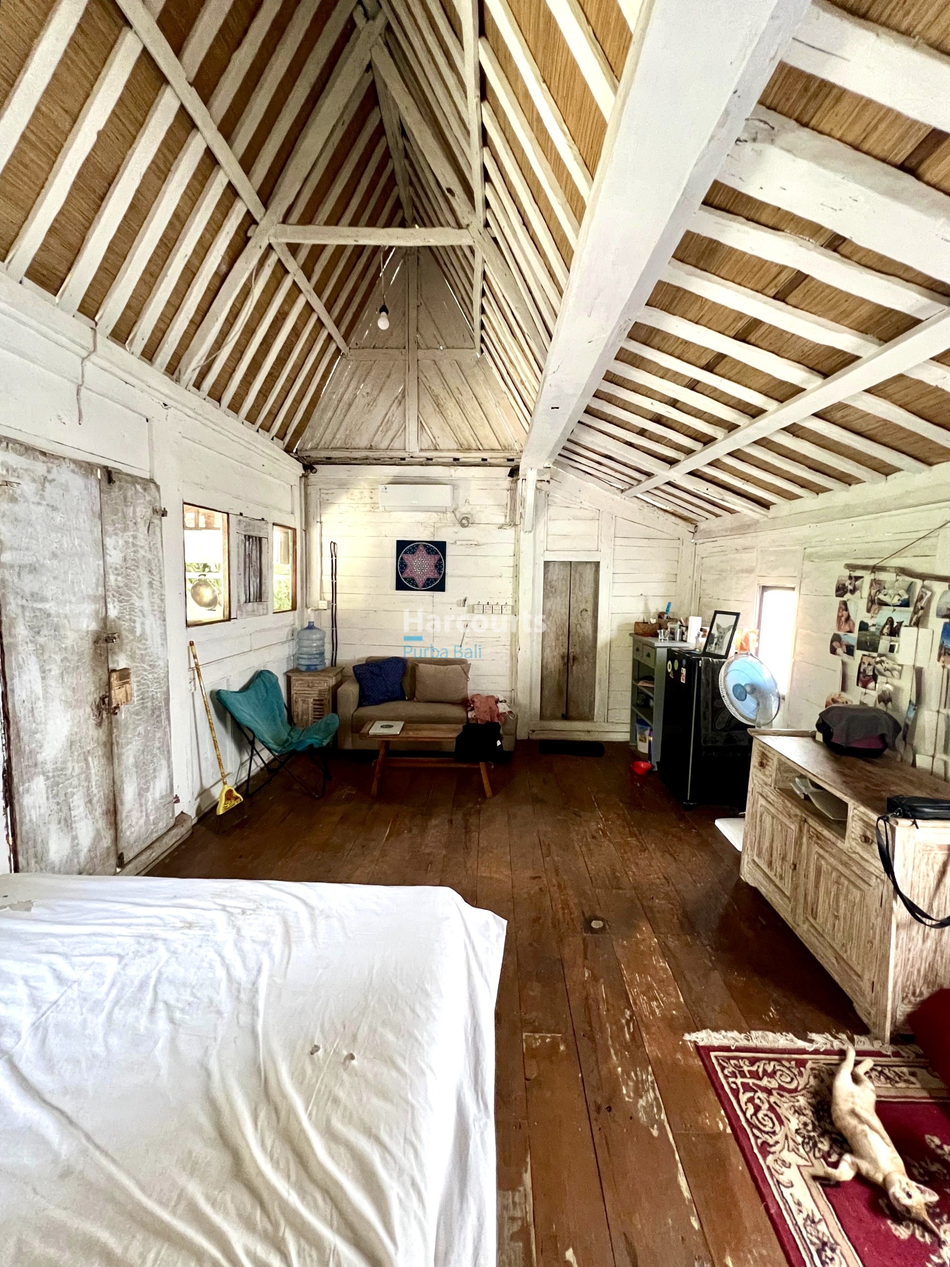 Cd880c02 Ef87 4e7c 81c0 69a4c2cc0142