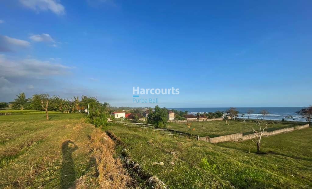 Discover Exceptionally Rare Absolute For Sale