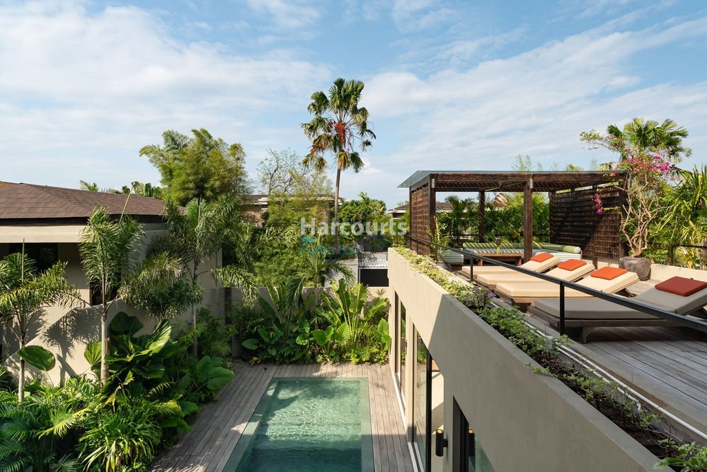 Set Within One Areas Ricefield View