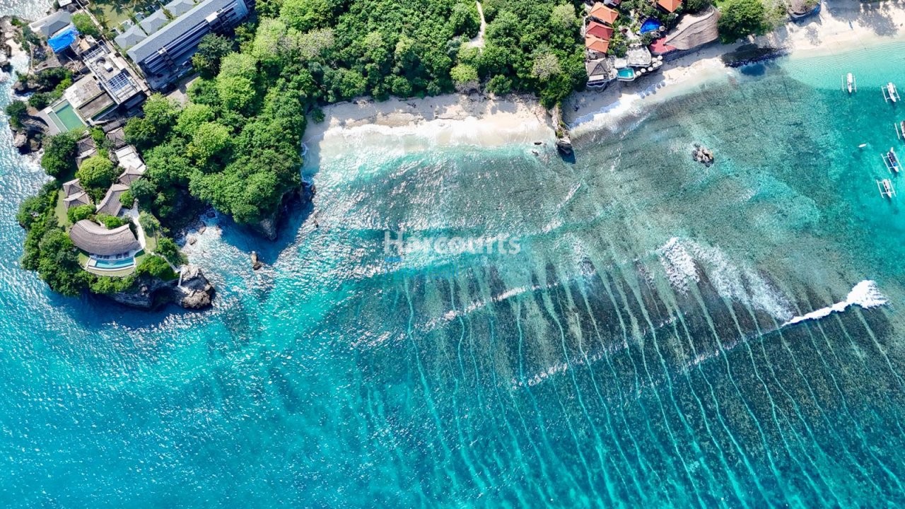 Very Last Opportunity Purchase For Sale 1