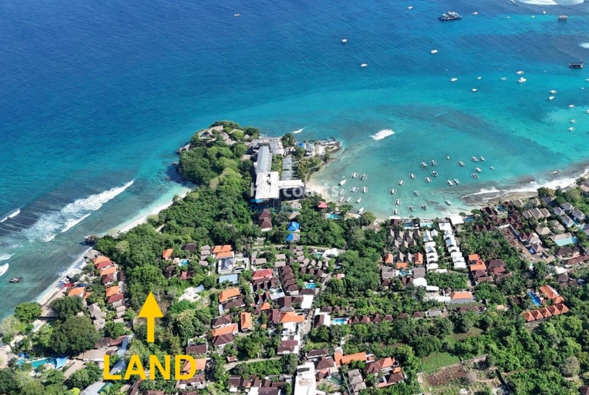 Very Last Opportunity Purchase Tropical Modern