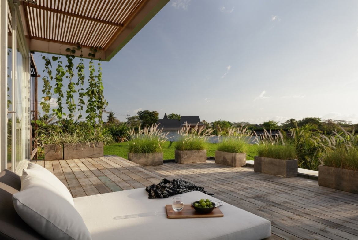 Located Emerging Creative Hub Ricefield View